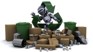environmental-impacts-of-e-toys-for-pets