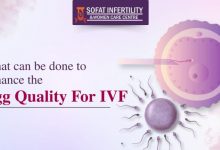 what-can-be-done-to-enhance-the-egg-quality-for-ivf?