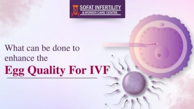 what-can-be-done-to-enhance-the-egg-quality-for-ivf?