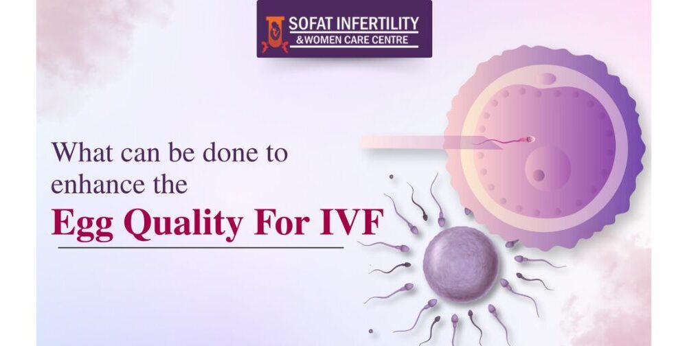 what-can-be-done-to-enhance-the-egg-quality-for-ivf?